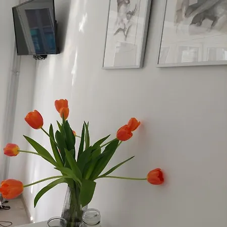 Apartament Chez Koen Ostenda